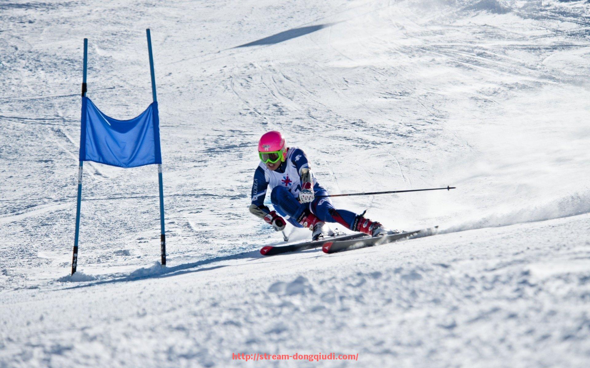 懂球帝直播-火箭队成员位置及球衣号码的详细介绍