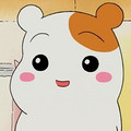 贺婕斐